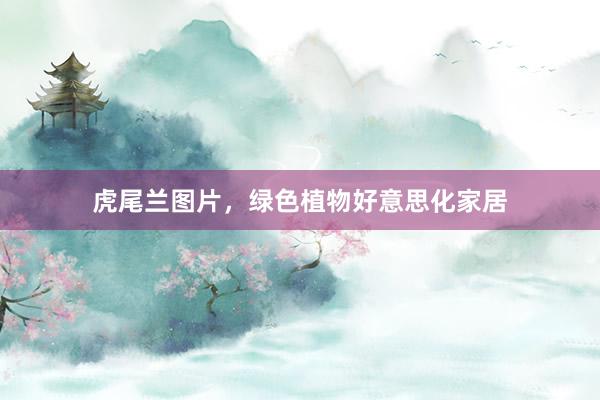 虎尾兰图片，绿色植物好意思化家居