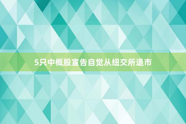 5只中概股宣告自觉从纽交所退市