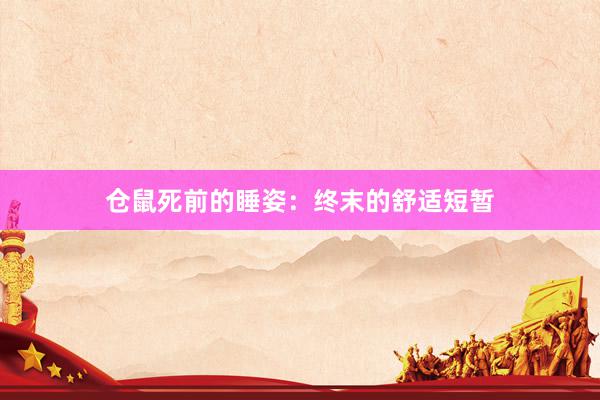 仓鼠死前的睡姿：终末的舒适短暂