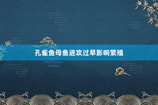 孔雀鱼母鱼进攻过早影响繁殖